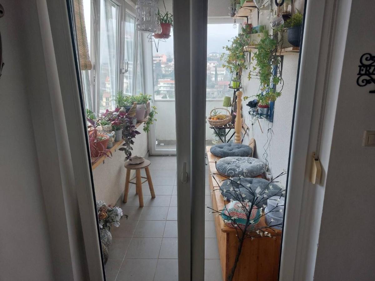 Apartments Franny 노비비노돌스키 외부 사진